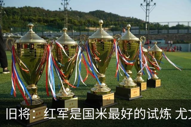 旧将：红军是国米最好的试炼 尤文失去C罗问题大
